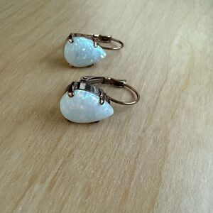 Elegant Opal Drop Earrings